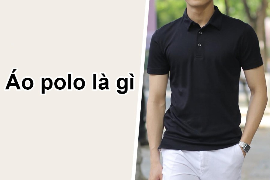 Áo polo 